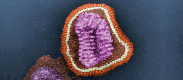 influenza virus by Fermilab